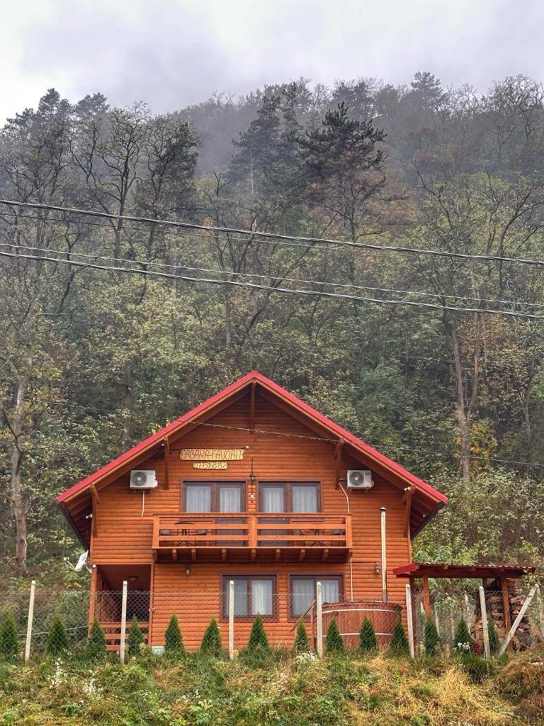 Casa Favorit Vila Costesti  Exterior foto