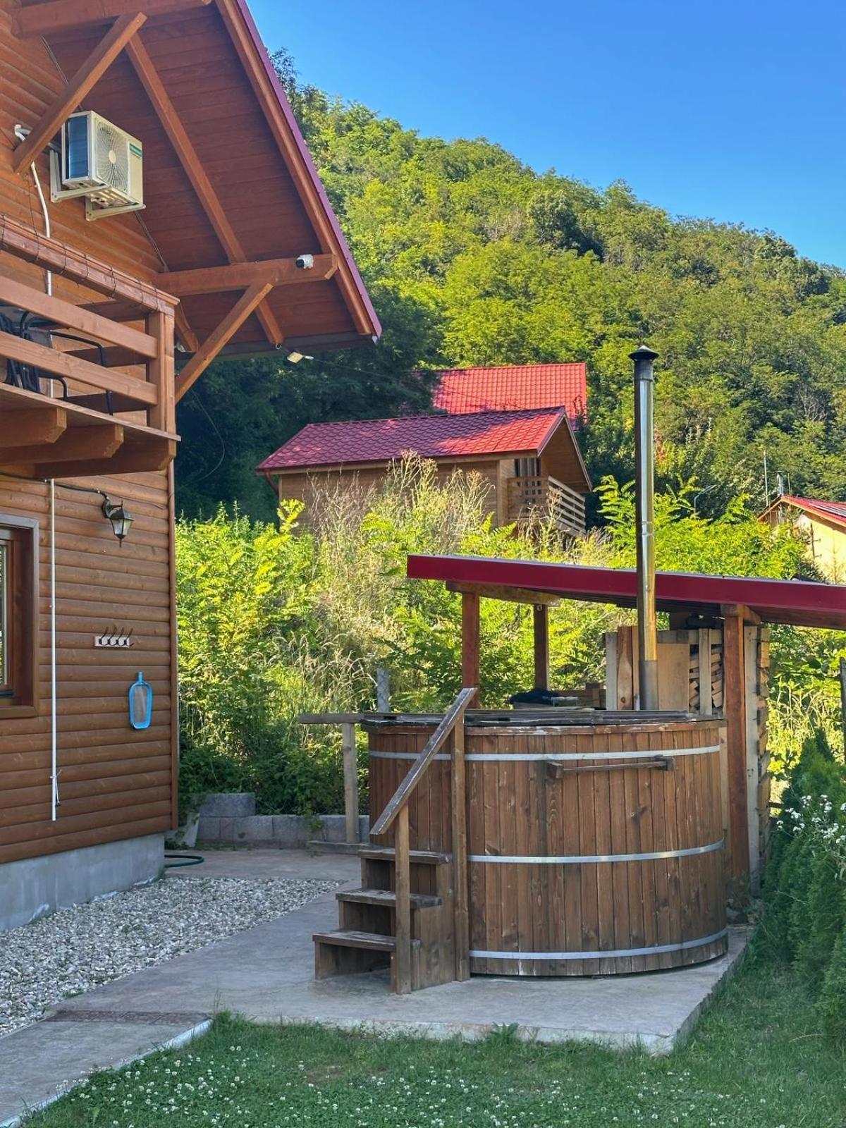 Casa Favorit Vila Costesti  Exterior foto