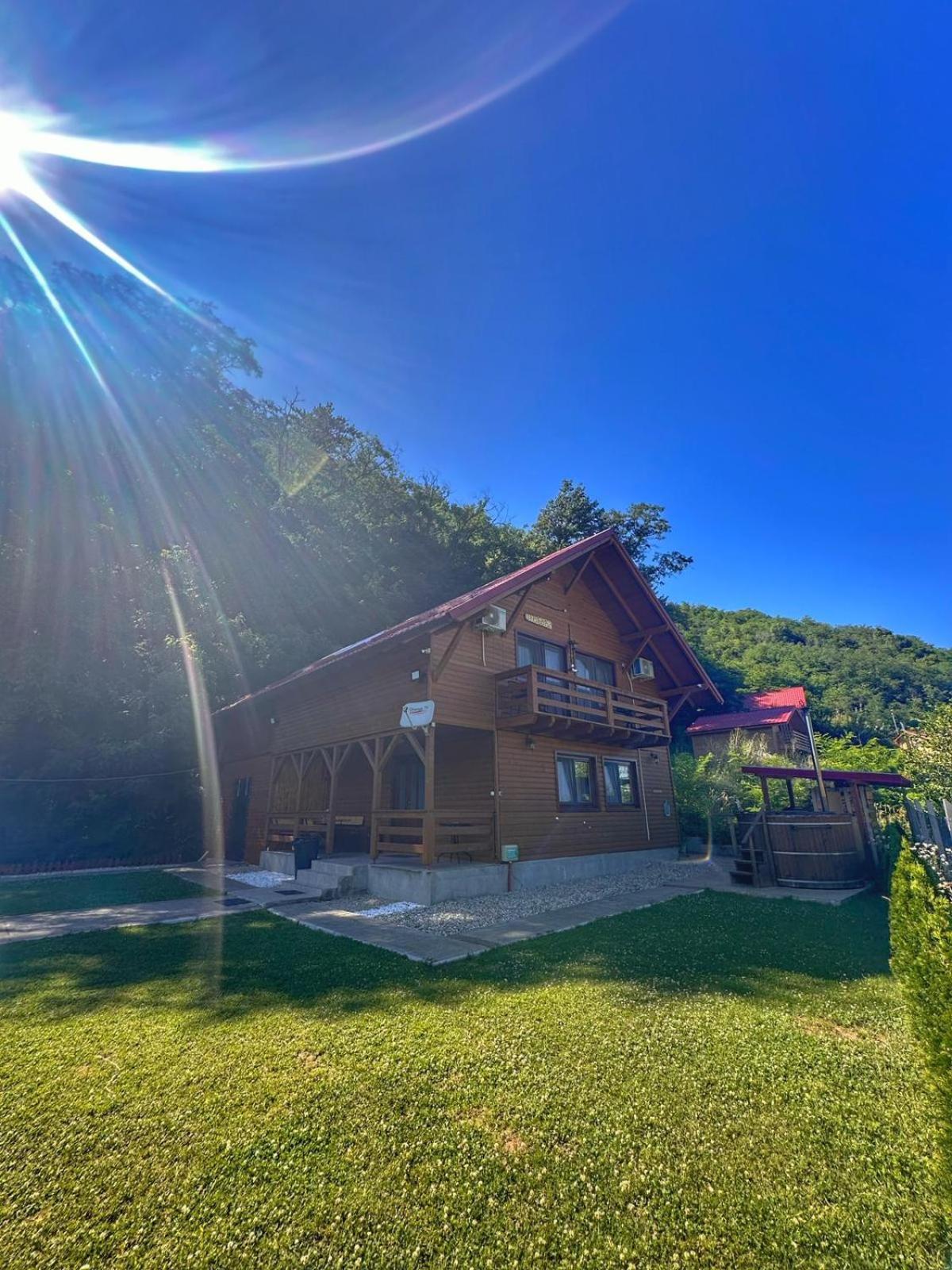Casa Favorit Vila Costesti  Exterior foto
