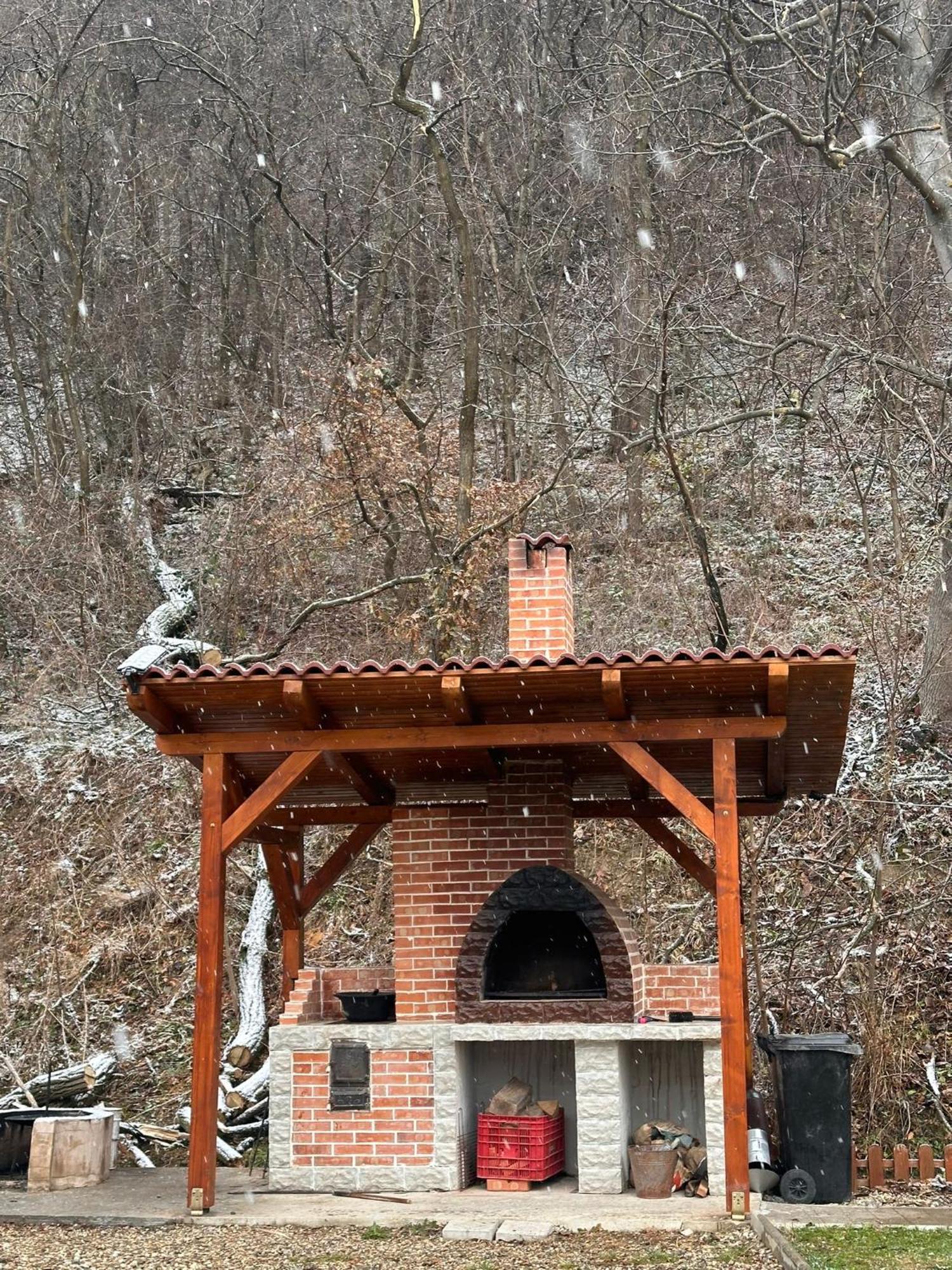 Casa Favorit Vila Costesti  Exterior foto