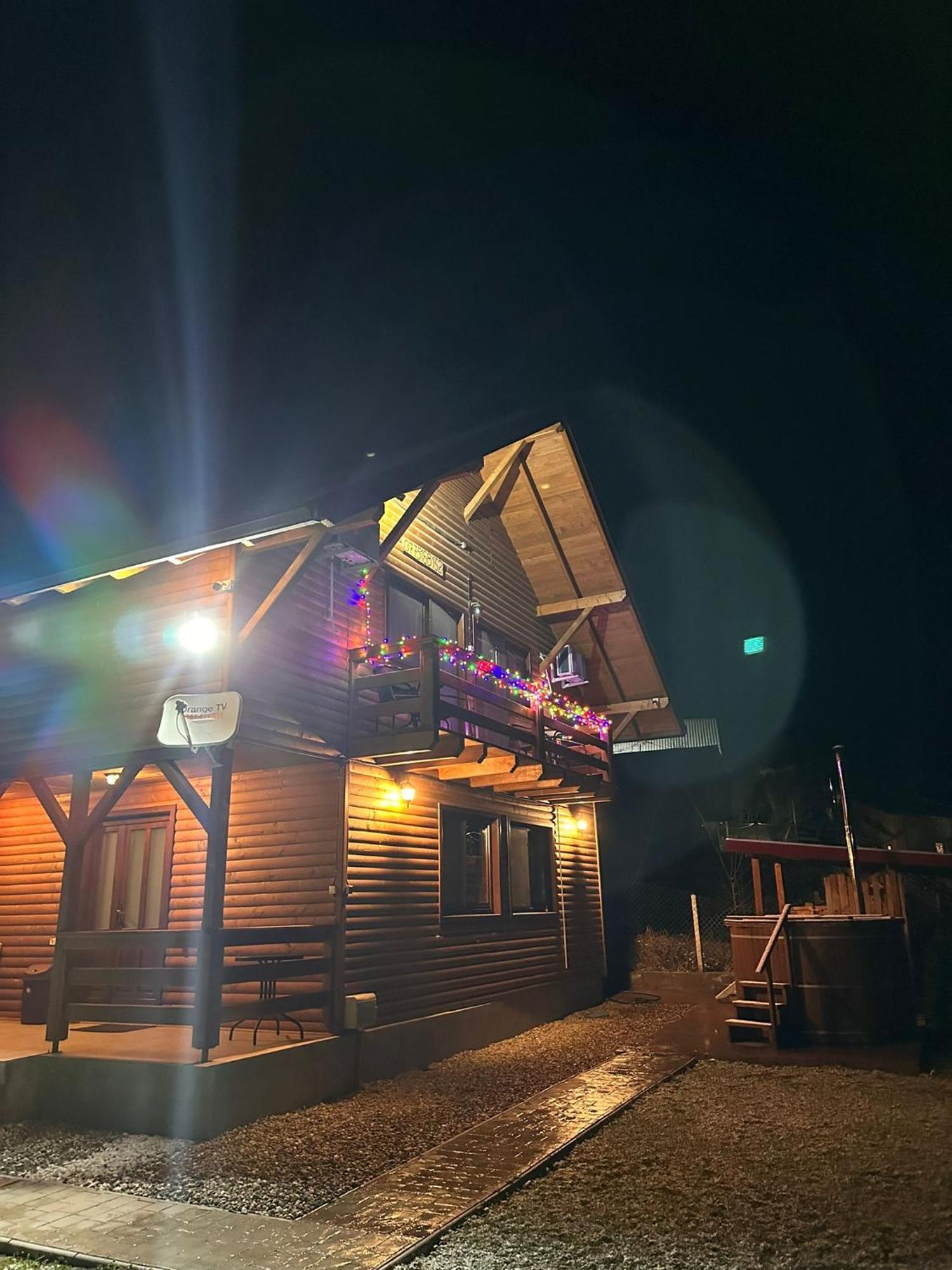 Casa Favorit Vila Costesti  Exterior foto